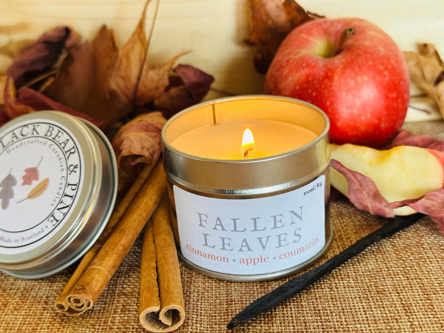 Fallen Leaves