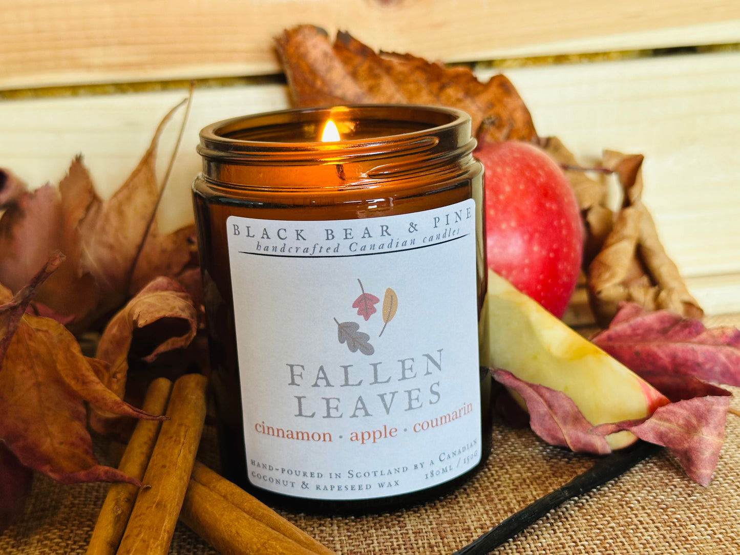Fallen Leaves