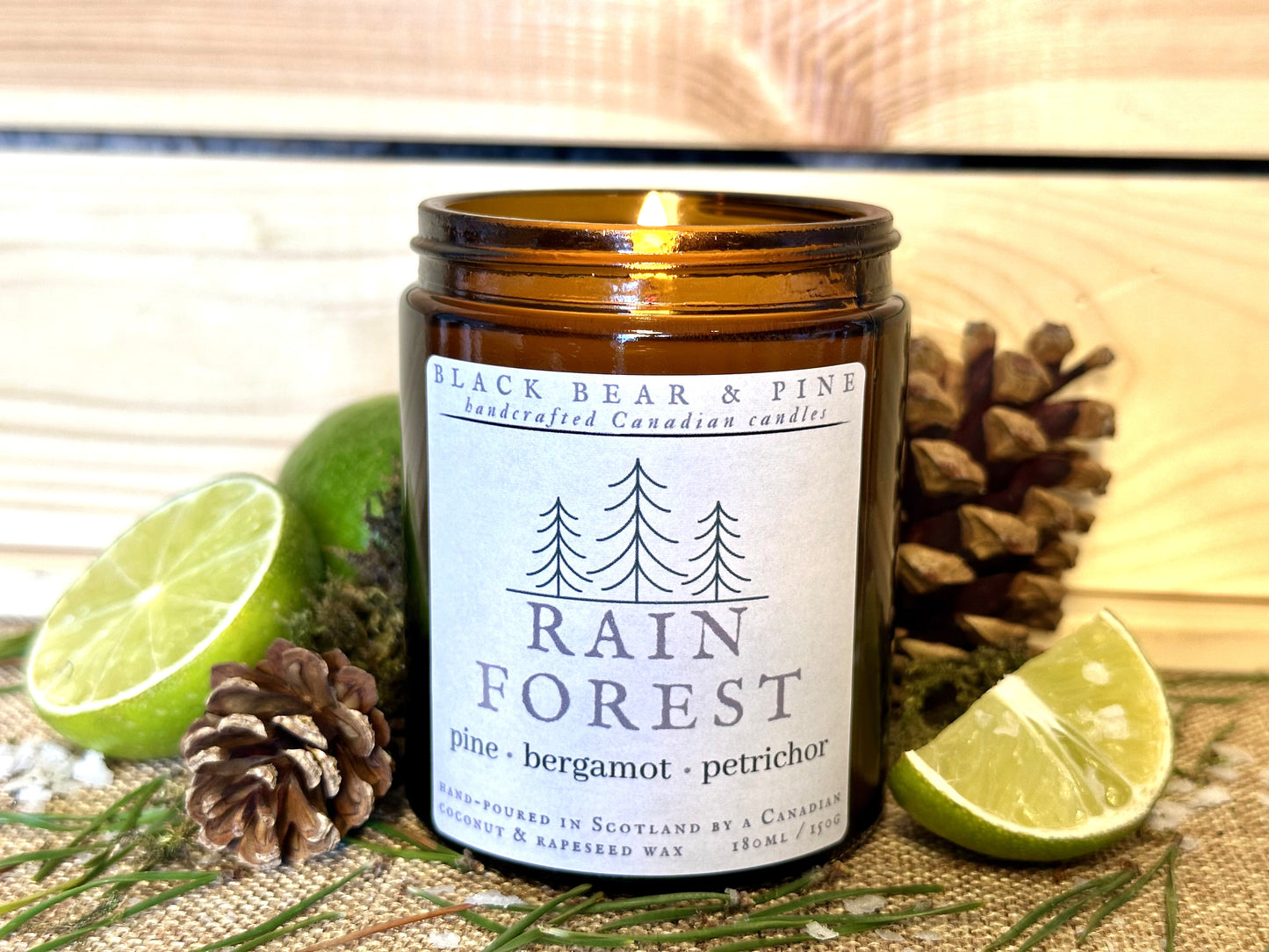 Rain Forest